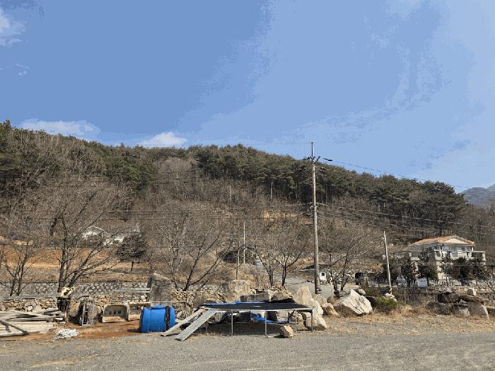 경상북도 경주시 산내면 대현리 산323-12 임야 경매 사진 2