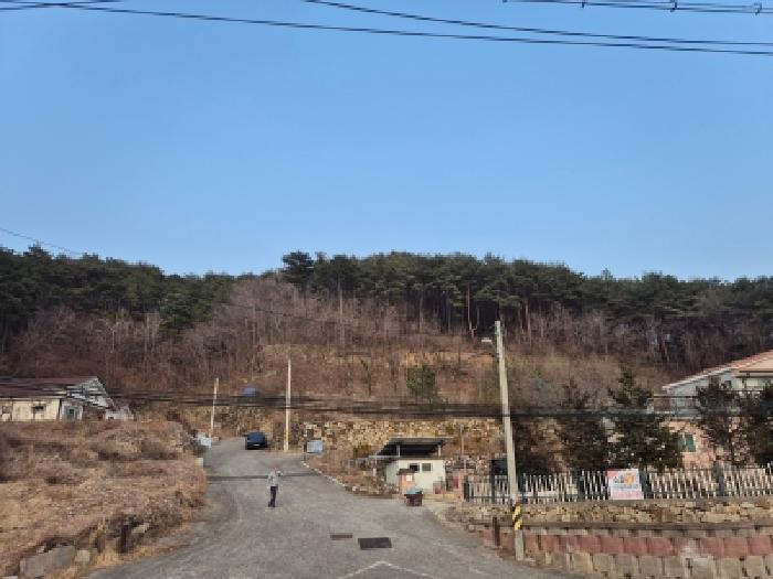 경상북도 경주시 산내면 대현리 산323-12 임야 경매 사진 4