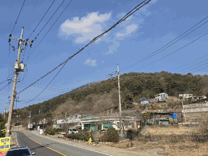 경상북도 경주시 산내면 대현리 산323-12 임야 경매 사진 5