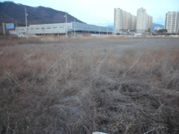 대구광역시 달성군 구지면 화산리 1110 공장용지 경매 사진 4