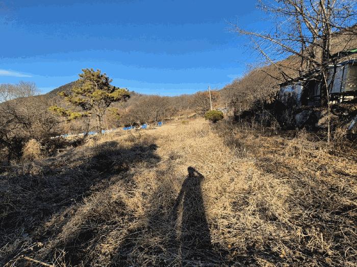 대구광역시 달성군 옥포읍 교항리 2831 답 경매 사진 4