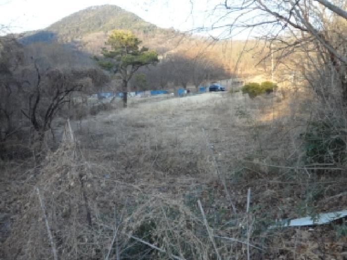 대구광역시 달성군 옥포읍 교항리 2831 답 경매 사진 6