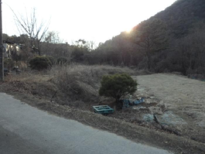 대구광역시 달성군 옥포읍 교항리 2831 답 경매 사진 7