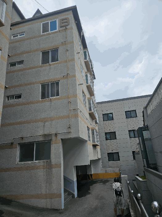 부산광역시 금정구 남산동 979-6 공원빌라 비동 101호 다세대(빌라) 경매 사진 2