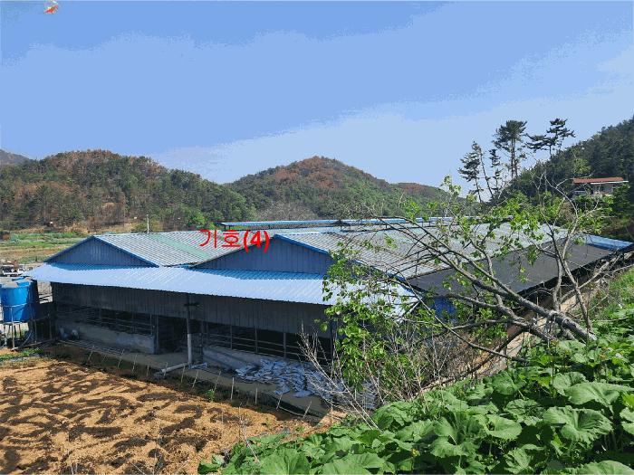 울산광역시 울주군 온양읍 운화리 889 축사(농가시설) 경매 사진 2