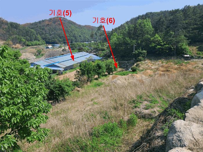 울산광역시 울주군 온양읍 운화리 889 축사(농가시설) 경매 사진 3