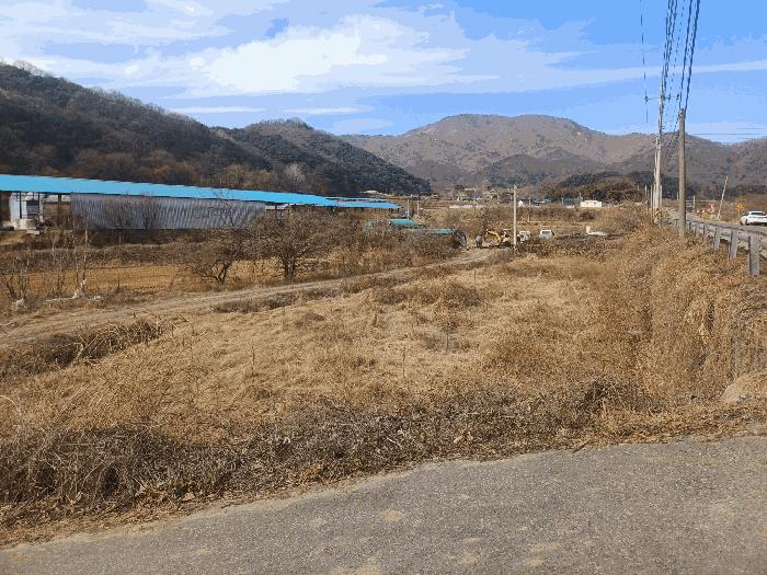 경상북도 성주군 답