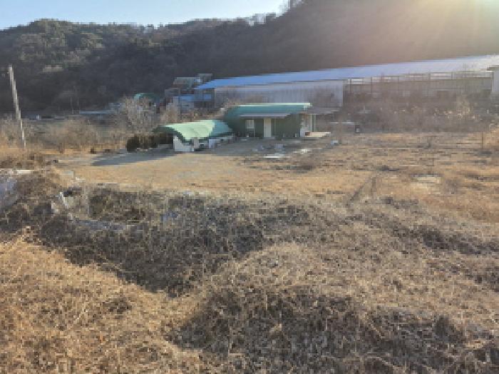 경상북도 성주군 초전면 월곡리 696-1 답 경매 사진 12