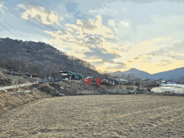 경상북도 성주군 전