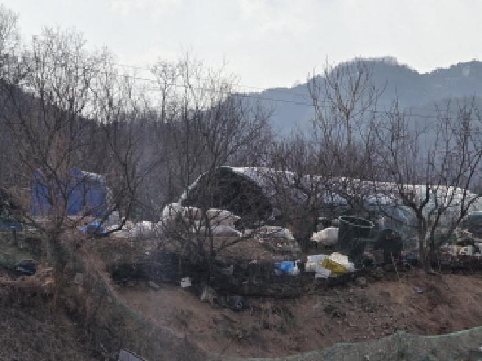 경상북도 성주군 선남면 명포리 862 전 경매 사진 13