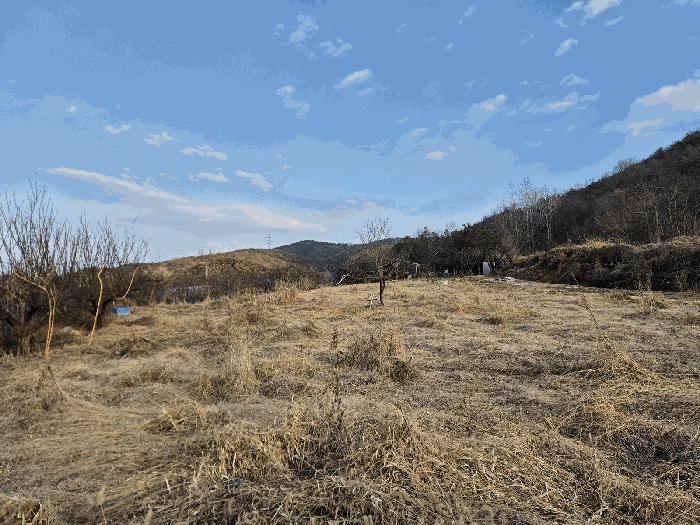 경상북도 성주군 선남면 명포리 862 전 경매 사진 2