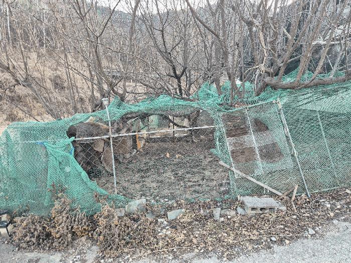 경상북도 성주군 선남면 명포리 862 전 경매 사진 6