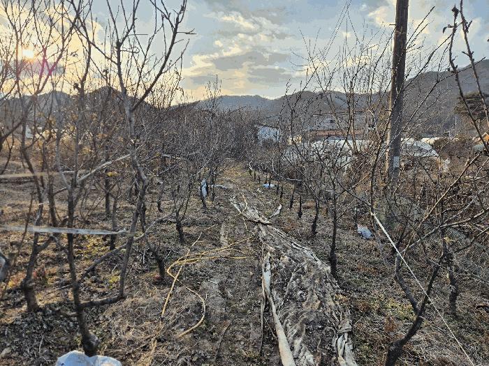 경상북도 성주군 선남면 명포리 862 전 경매 사진 9