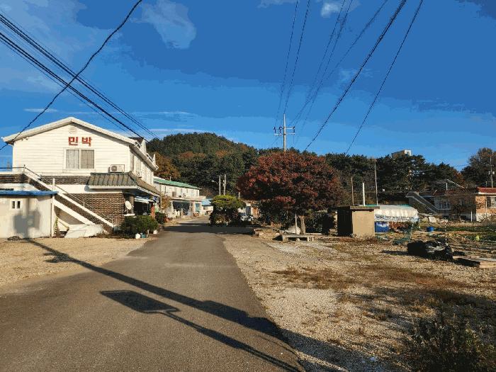 충청남도 당진시 석문면 장고항리 626-35 임야 경매 사진 12