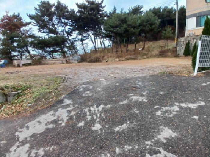 충청남도 당진시 석문면 장고항리 626-35 임야 경매 사진 14