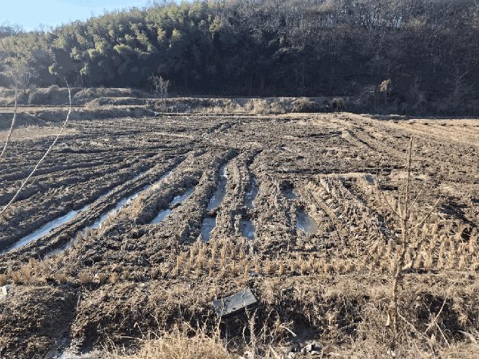 충청남도 당진시 답