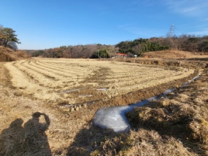 충청남도 당진시 송악읍 가학리 208-1 답 경매 사진 5