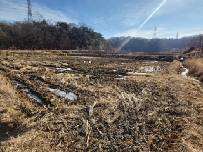 충청남도 당진시 송악읍 가학리 208-1 답 경매 사진 6