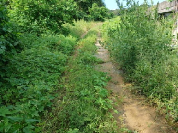 충청남도 당진시 고대면 당진포리 455-4 임야 경매 사진 10