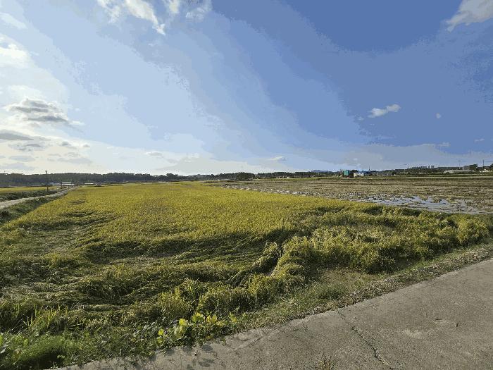 충청남도 서산시 답