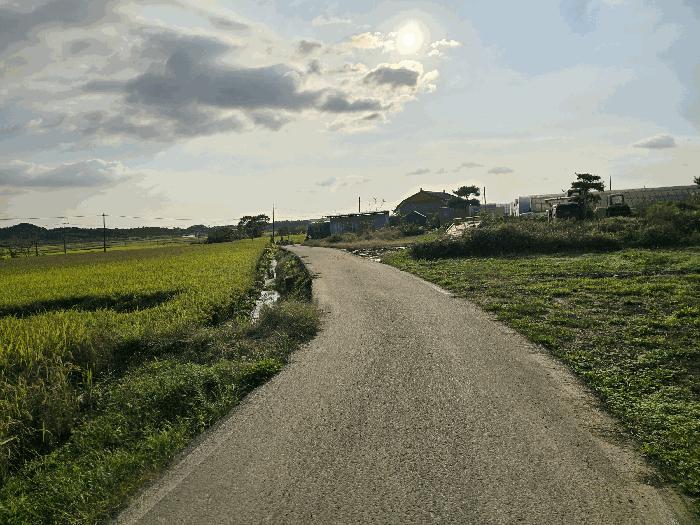충청남도 서산시 운산면 거성리 388-1 답 경매 사진 6