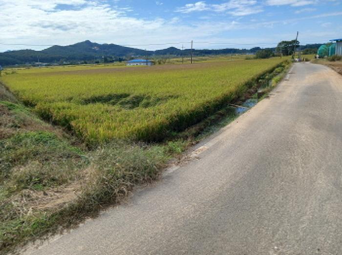 충청남도 서산시 해미면 관유리 140-2 답 경매 사진 12