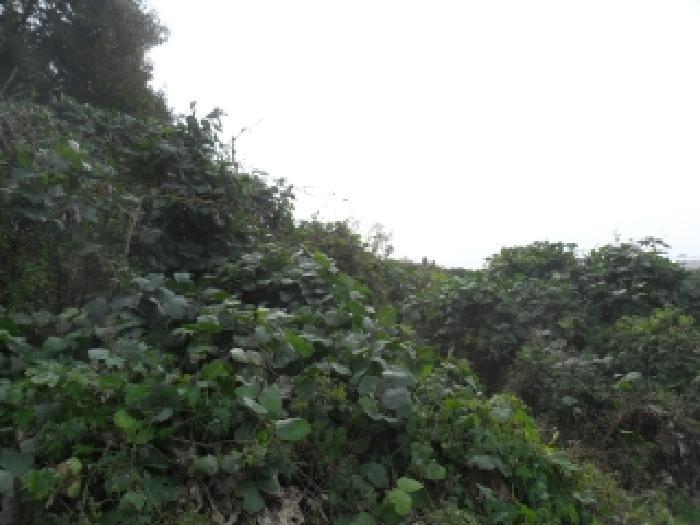 충청남도 태안군 고남면 고남리 883 전 경매 사진 14