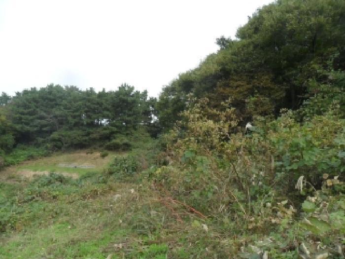 충청남도 태안군 고남면 고남리 883 전 경매 사진 15