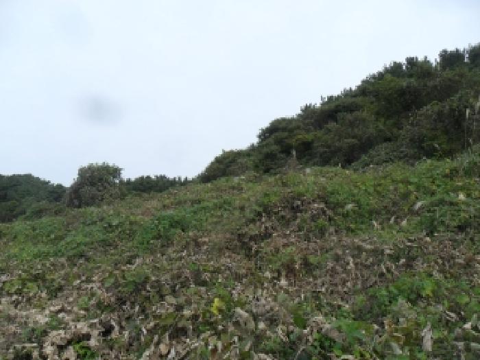 충청남도 태안군 고남면 고남리 883 전 경매 사진 18