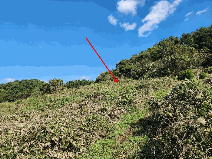 충청남도 태안군 고남면 고남리 883 전 경매 사진 4