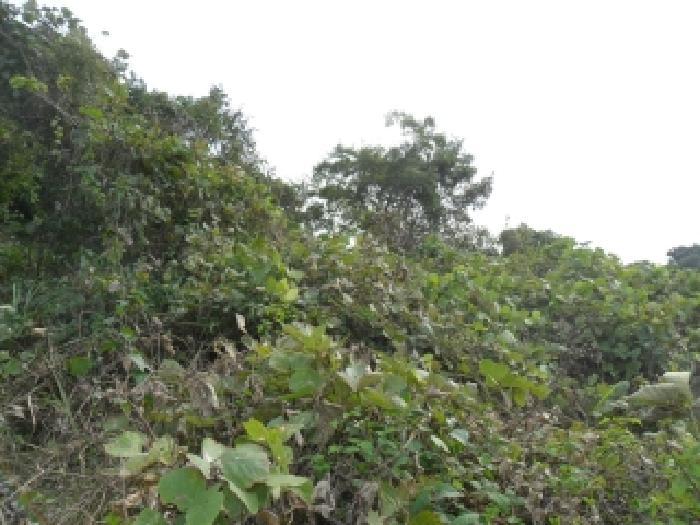 충청남도 태안군 고남면 고남리 946 전 경매 사진 20