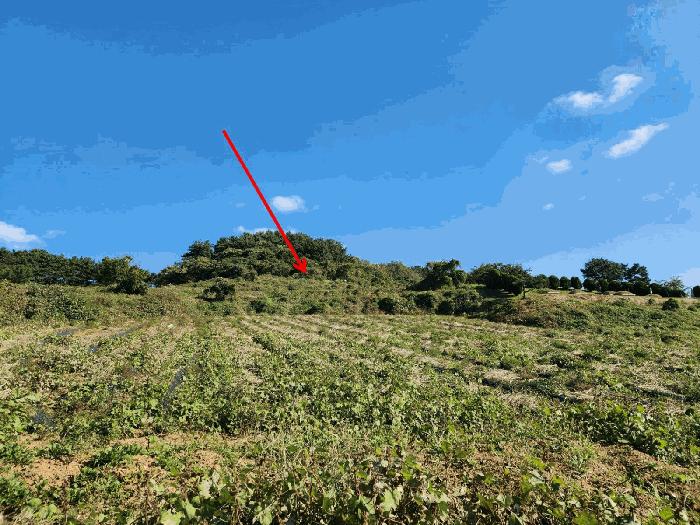 충청남도 태안군 고남면 고남리 891 전 경매 사진 1