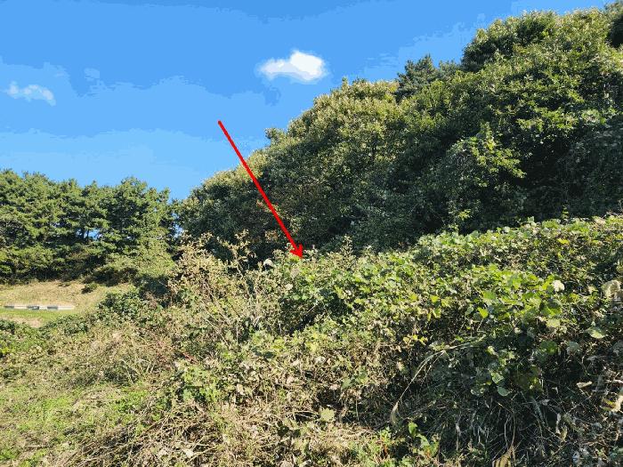 충청남도 태안군 고남면 고남리 891 전 경매 사진 11