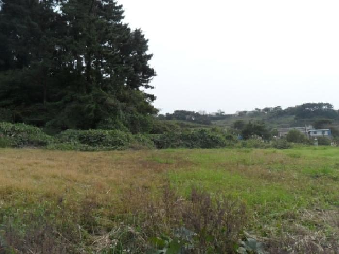 충청남도 태안군 고남면 고남리 891 전 경매 사진 16