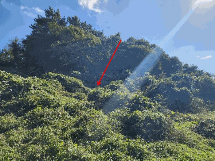 충청남도 태안군 고남면 고남리 891 전 경매 사진 3