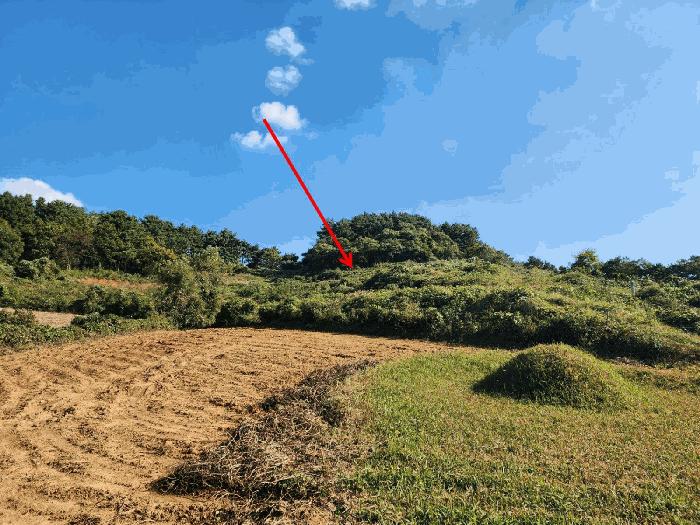 충청남도 태안군 고남면 고남리 891 전 경매 사진 8