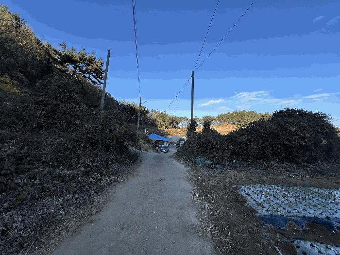 충청남도 태안군 이원면 포지리 579 전 경매 사진 5