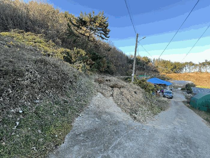 충청남도 태안군 이원면 포지리 579 전 경매 사진 9