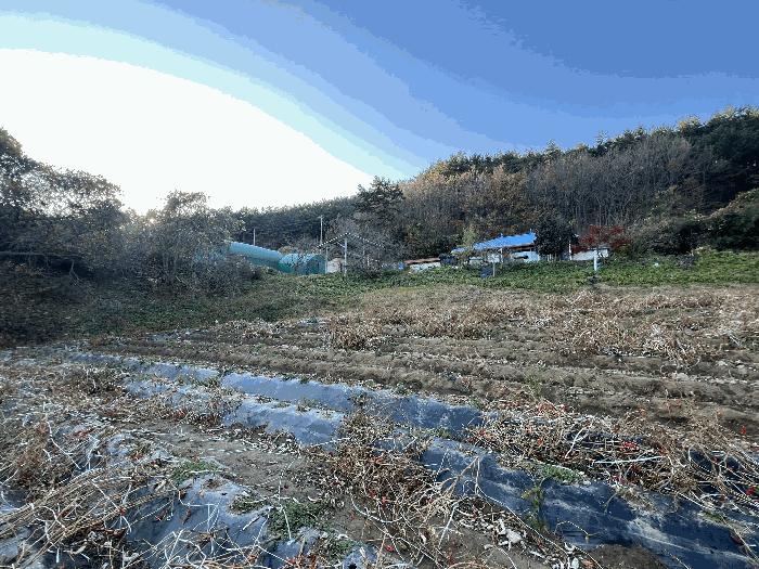 충청남도 태안군 이원면 포지리 580 전 경매 사진 13