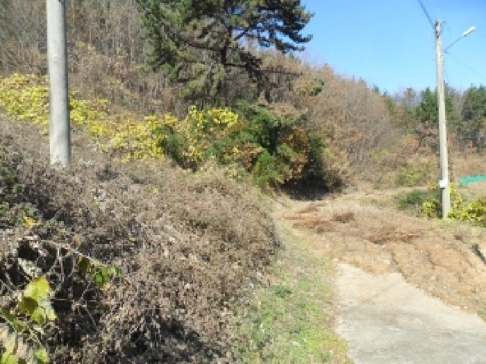 충청남도 태안군 이원면 포지리 580 전 경매 사진 15