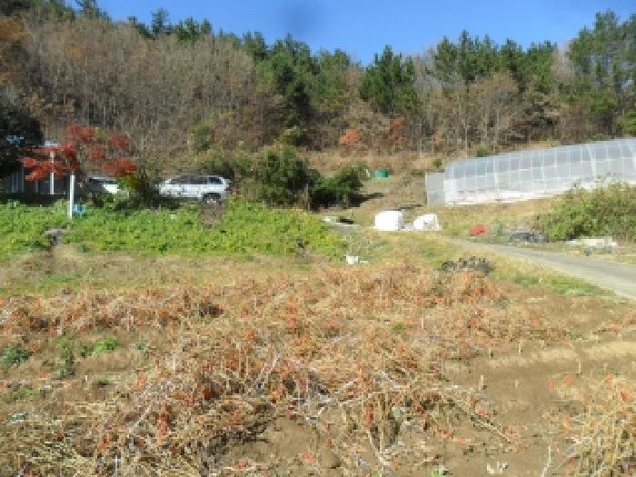 충청남도 태안군 이원면 포지리 580 전 경매 사진 19
