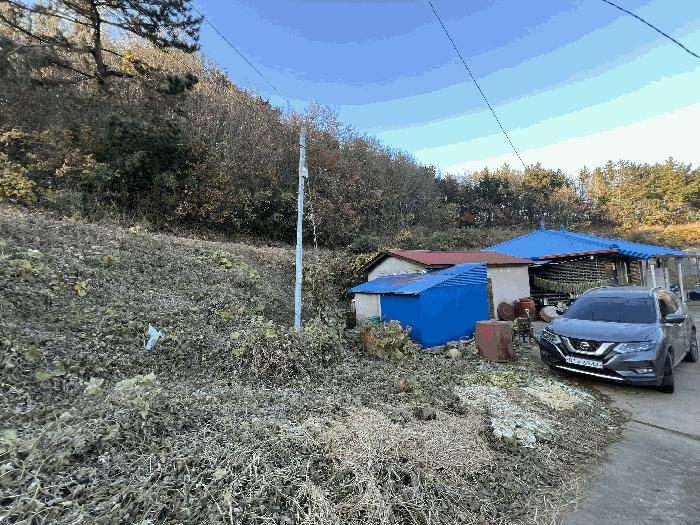 충청남도 태안군 이원면 포지리 580 전 경매 사진 2