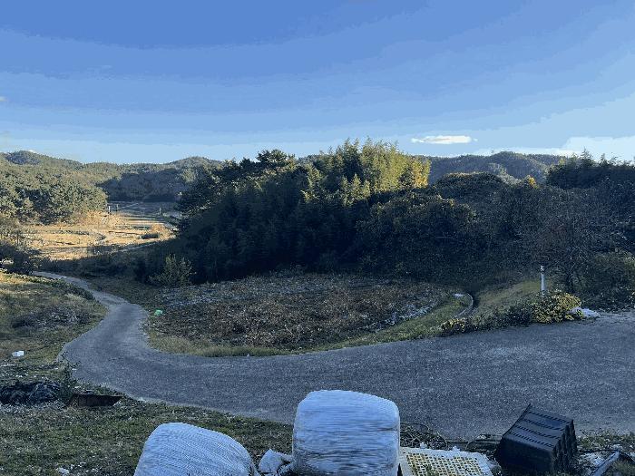 충청남도 태안군 이원면 포지리 583 답 경매 사진 12