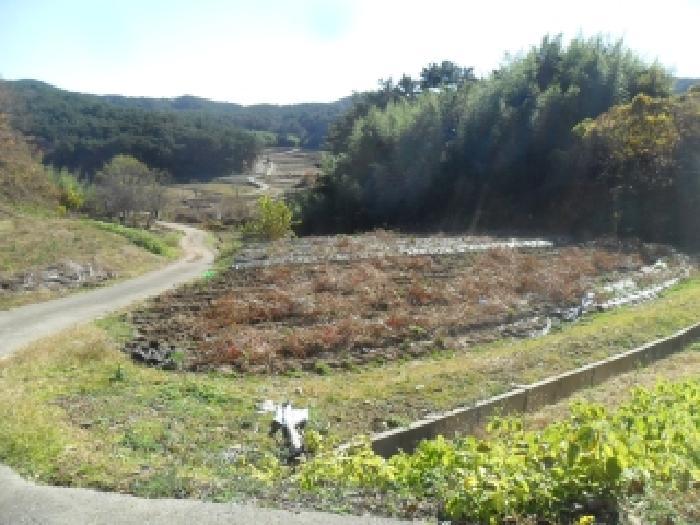 충청남도 태안군 이원면 포지리 583 답 경매 사진 18