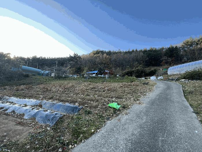 충청남도 태안군 이원면 포지리 583 답 경매 사진 6