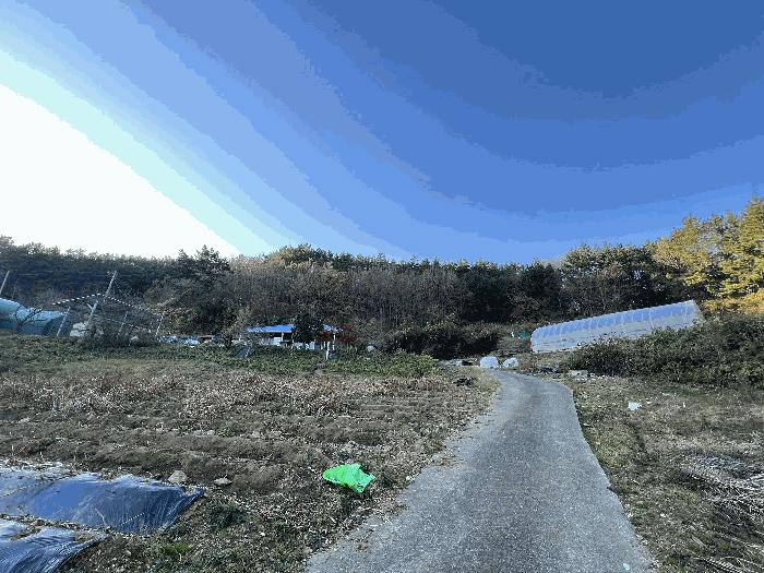 충청남도 태안군 이원면 포지리 583 답 경매 사진 7