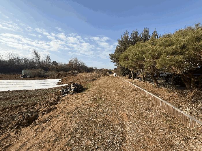 충청남도 당진시 신평면 거산리 462-8 전 경매 사진 14