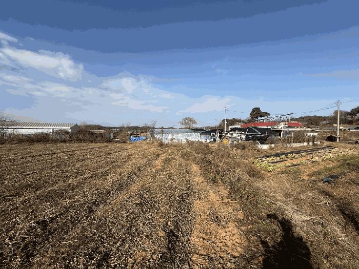 충청남도 당진시 신평면 거산리 462-8 전 경매 사진 2