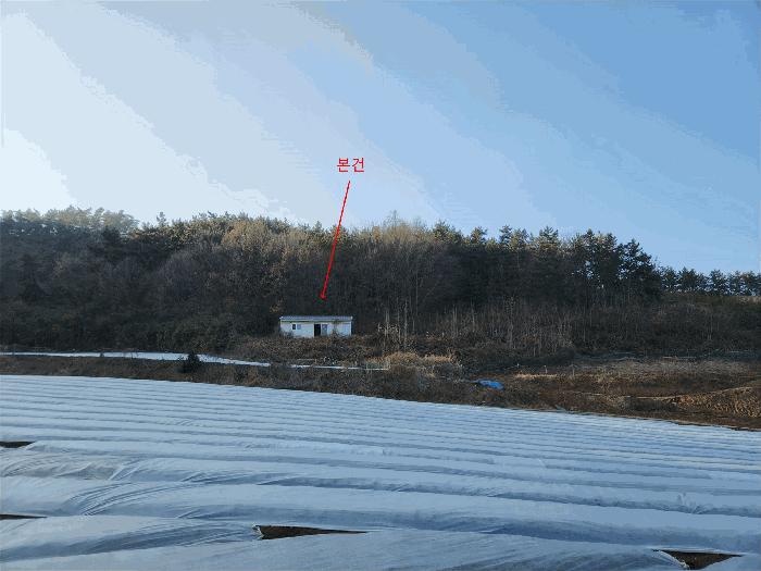 충청남도 태안군 이원면 내리 산166-3 임야 경매 사진 4
