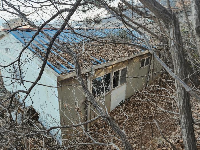 충청남도 태안군 이원면 내리 산166-3 임야 경매 사진 5
